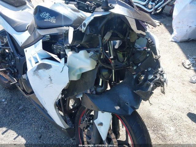 Kawasaki Ninja 300 2014 JKAEX8B13EA005520 Image 14