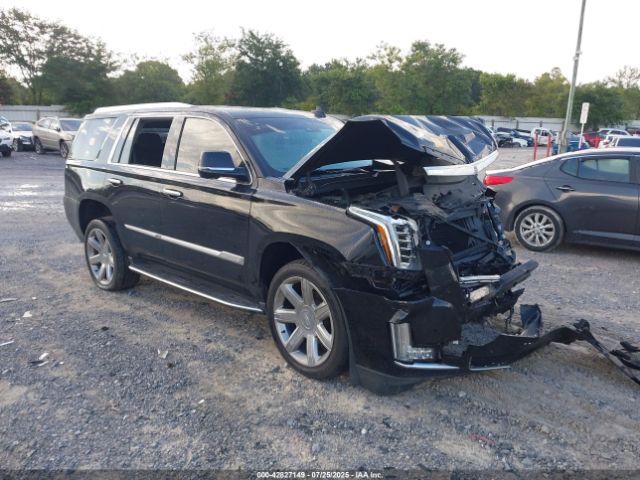 2019 CADILLAC ESCALADE 1GYS3BKJ0KR225593