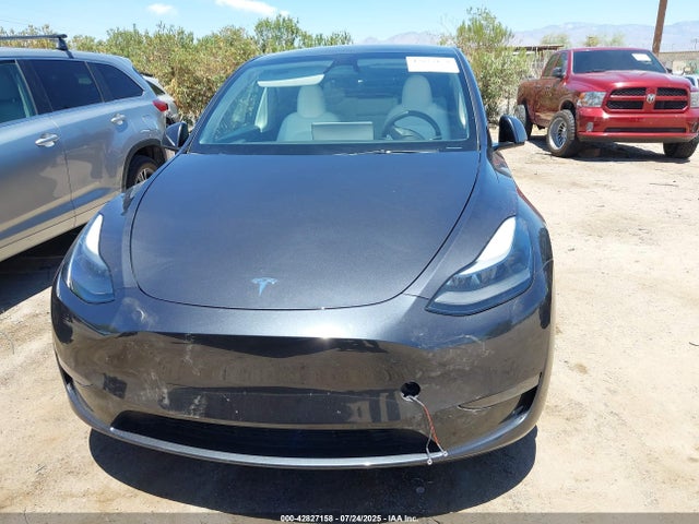 Tesla 2024 2024 7SAYGAEE4RF991794 Image 12