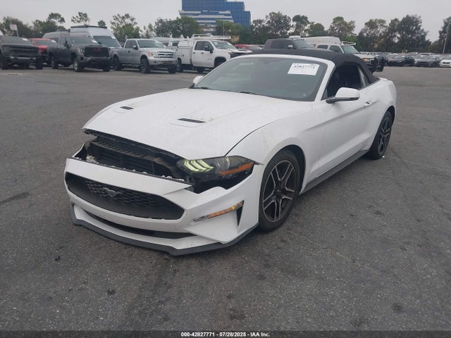 1FATP8UH5K5104602 Ford 4v