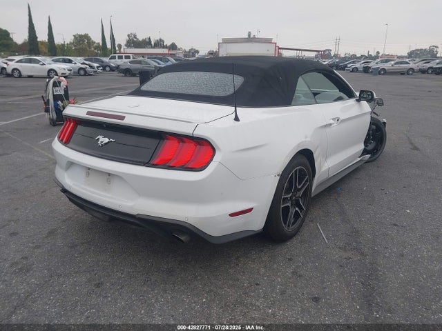 1FATP8UH5K5104602 Ford 4v