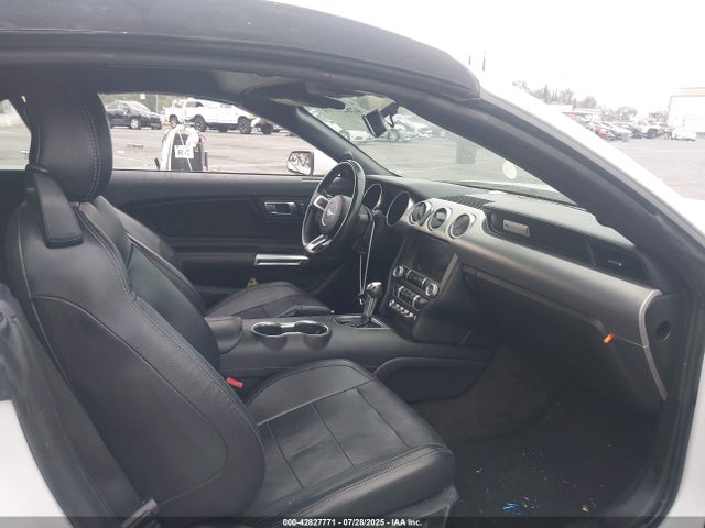 1FATP8UH5K5104602 Ford 4v