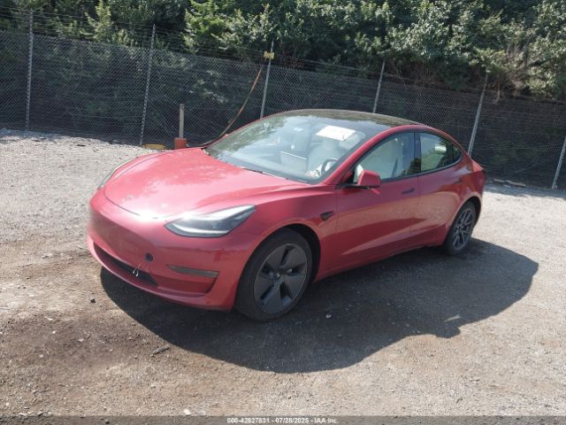 2023 TESLA MODEL 3 5YJ3E1EA7PF573818 Photo 1