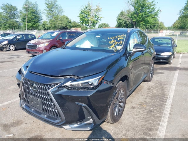 Lexus t24a-fts 2024 2T2GGCEZ5RC049311 Image 2