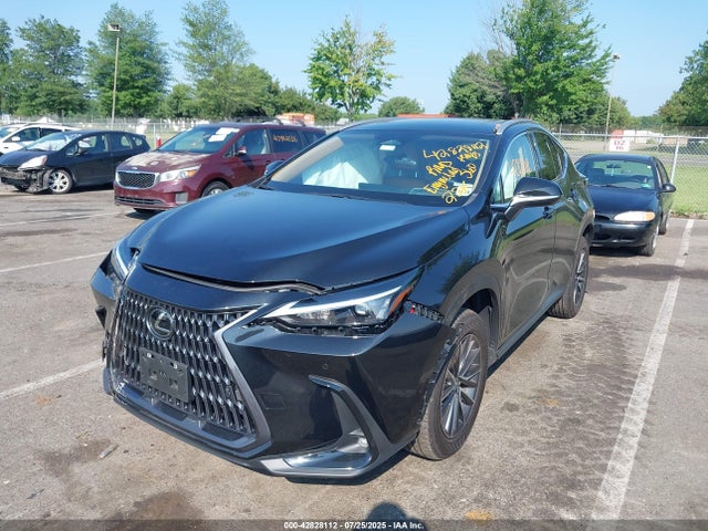 Lexus t24a-fts 2024 2T2GGCEZ5RC049311 Image 6