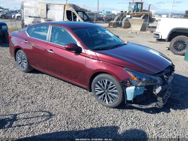 2024 NISSAN ALTIMA 1N4BL4DV5RN413356