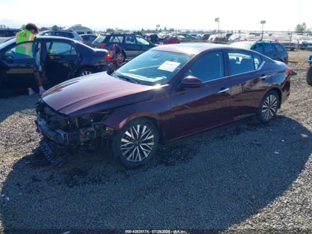 2024 NISSAN ALTIMA 1N4BL4DV5RN413356 Photo 1