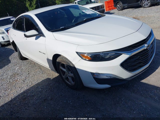 1G1ZG5ST6LF123092 auction archive image