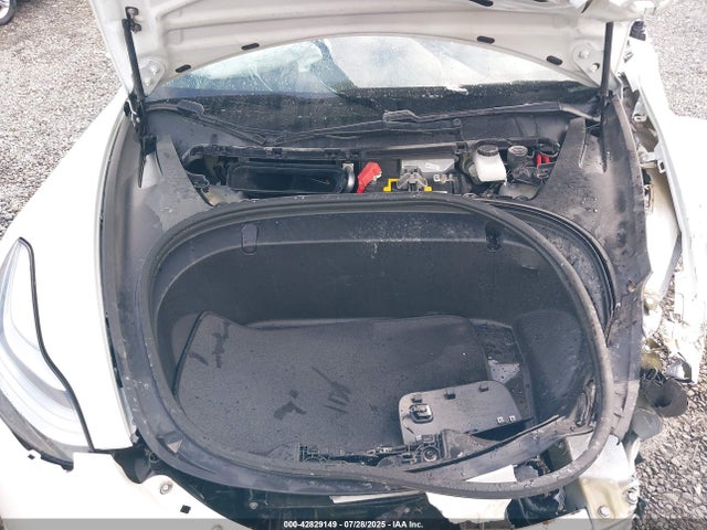 2019 TESLA MODEL 3 5YJ3E1EA4KF326457 Photo 9
