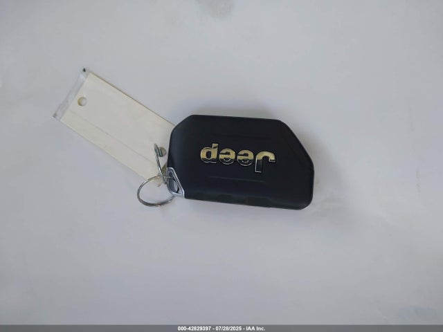 1C4JJXN63PW691460 Jeep 2023