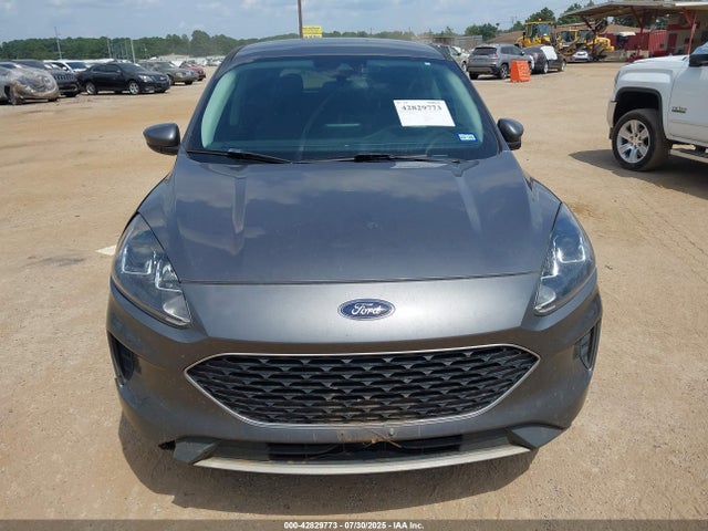 1FMCU0G66MUB09455 Ford dragon di tc