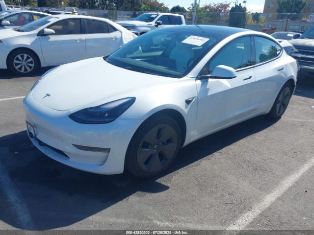 2023 TESLA MODEL 3 5YJ3E1EAXPF461417 Photo 1