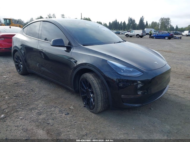 2023 TESLA MODEL Y 7SAYGDEE9PF851691 Photo 0