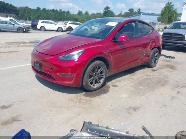 2024 TESLA MODEL Y 7SAYGDEE7RF181495 Photo 1