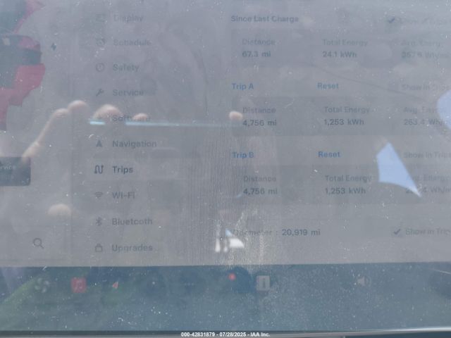 2024 TESLA MODEL Y 7SAYGDEE7RF181495 Photo 6