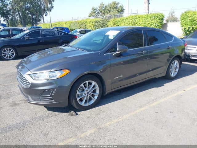 Ford 2019 2019 3FA6P0LU0KR256524 Image 2
