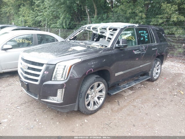 2015 CADILLAC ESCALADE 1GYS4NKJ6FR678153 Photo 1