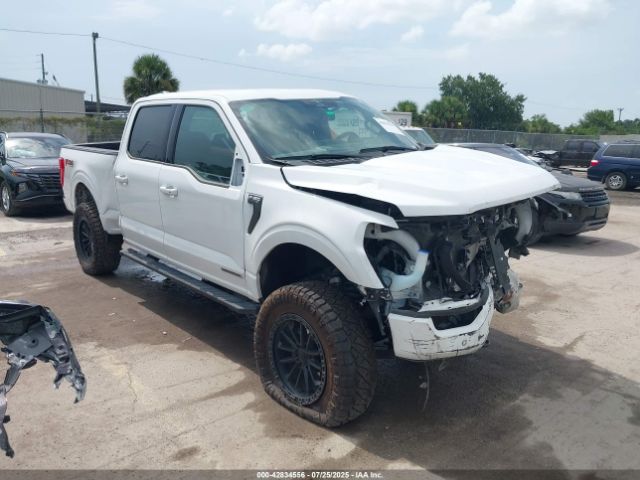 2023 FORD F-150 1FTFW1ED0PFB43547
