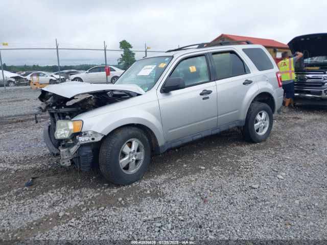 2009 FORD ESCAPE 1FMCU93789KB27266 Photo 1