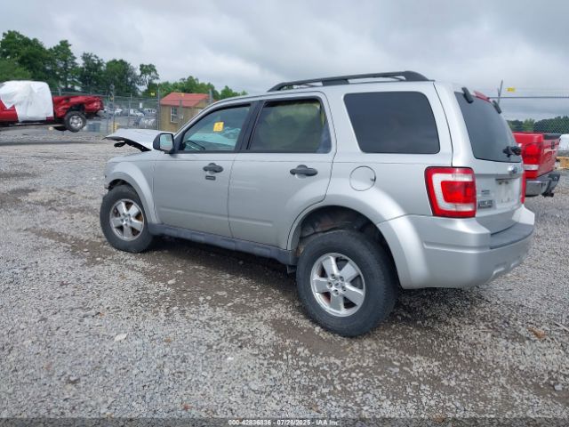 2009 FORD ESCAPE 1FMCU93789KB27266 Photo 2