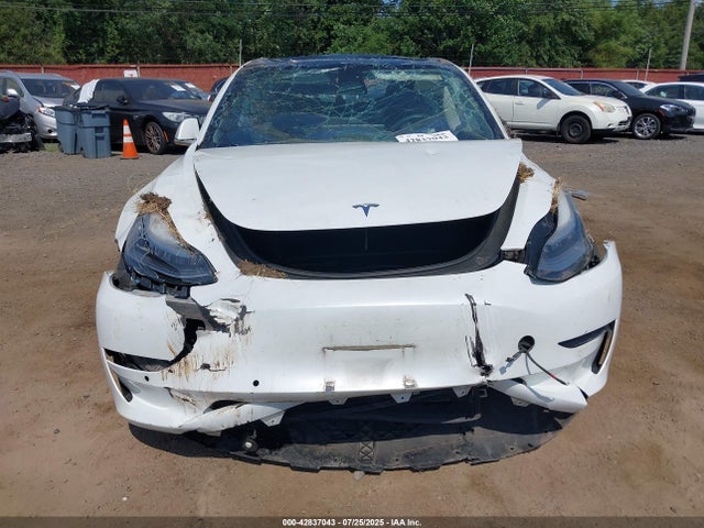 42837043 :رقم المزاد ، 5YJ3E1EA5KF483835 vin ، 2019 Tesla Model 3 Long Range/mid Range/standard Range/standard Range Plus مزاد بيع