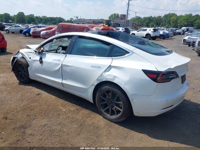 42837043 :رقم المزاد ، 5YJ3E1EA5KF483835 vin ، 2019 Tesla Model 3 Long Range/mid Range/standard Range/standard Range Plus مزاد بيع