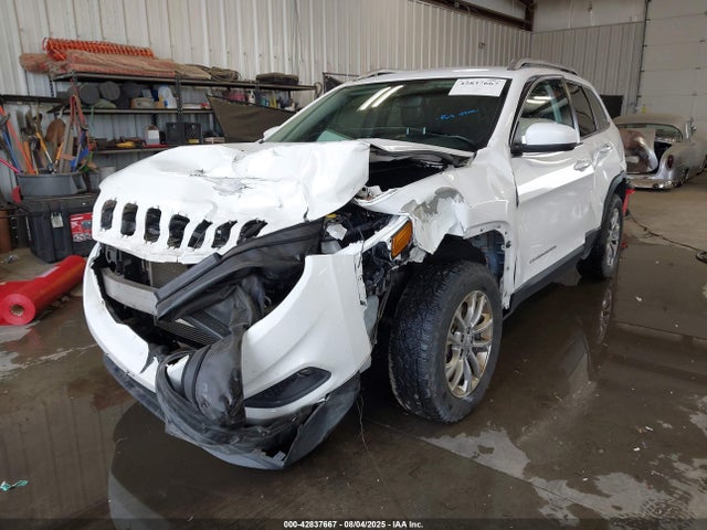 Jeep 2020 2020 1C4PJMLN9LD655829 Image 2