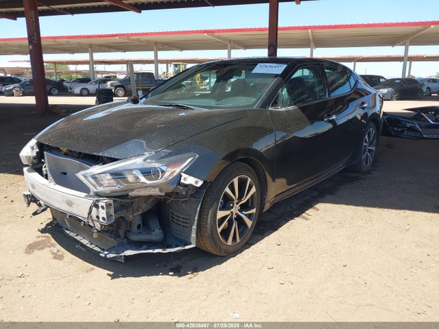 1N4AA6AP5JC393726 Nissan Maxima