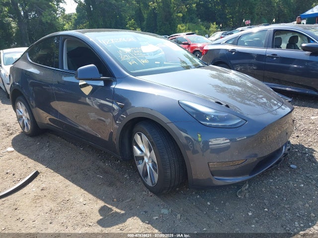 2023 TESLA MODEL Y 7SAYGDEE6PA185676 Photo 0