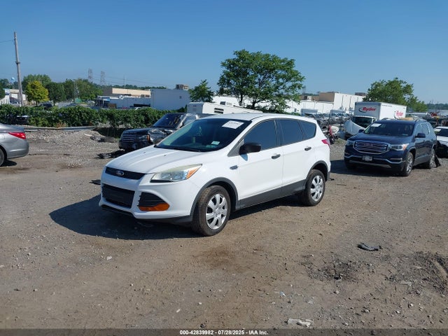 Ford Escape 2014 1FMCU0F74EUA66875 Image 2