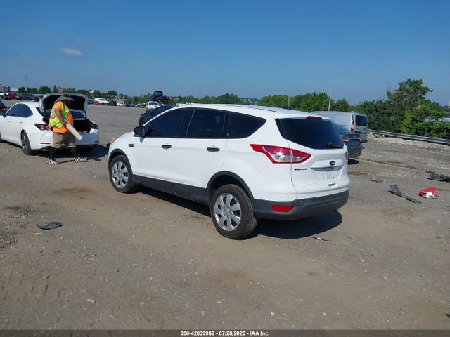 Ford Escape 2014 1FMCU0F74EUA66875 Image 3