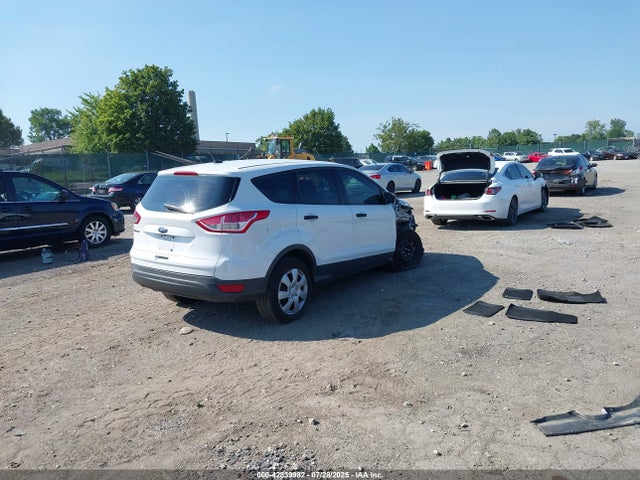 Ford Escape 2014 1FMCU0F74EUA66875 Image 4