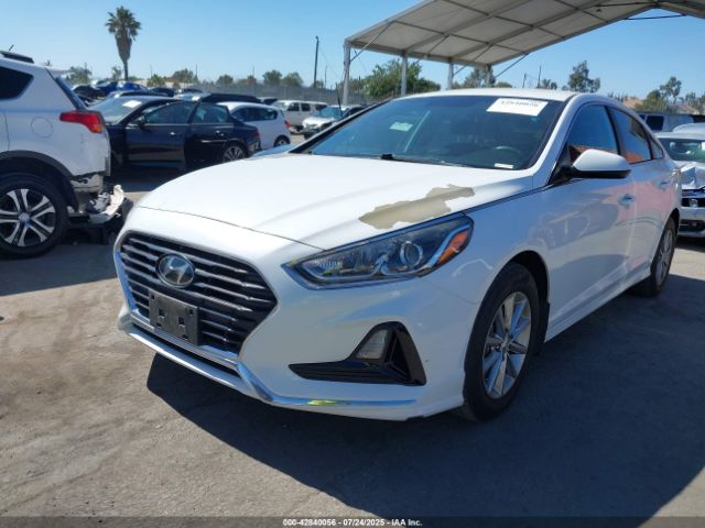 2019 HYUNDAI SONATA 5NPE24AF9KH797705 Photo 1