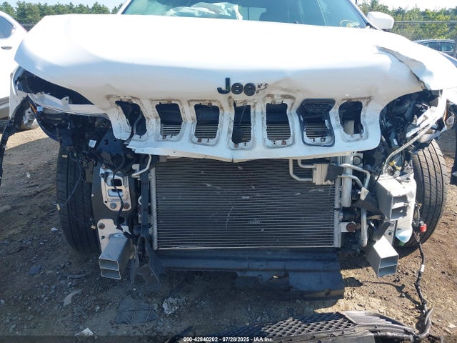 Jeep Cherokee Altitude 4x4 2019 1C4PJMLN9KD328345 Image 6