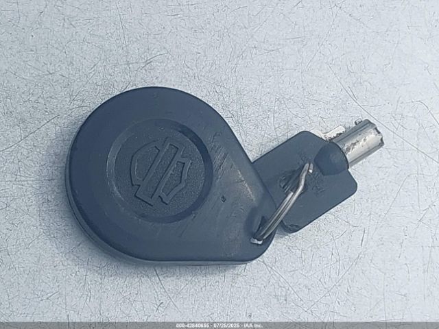 2020 HARLEY-DAVIDSON FLHX 1HD1KBC11LB602010 Photo 10