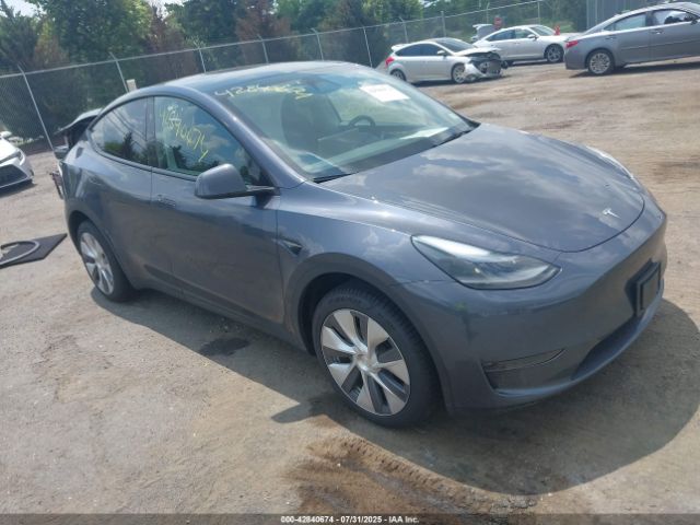 2023 TESLA MODEL Y 7SAYGDEE6PA182390 Photo 0