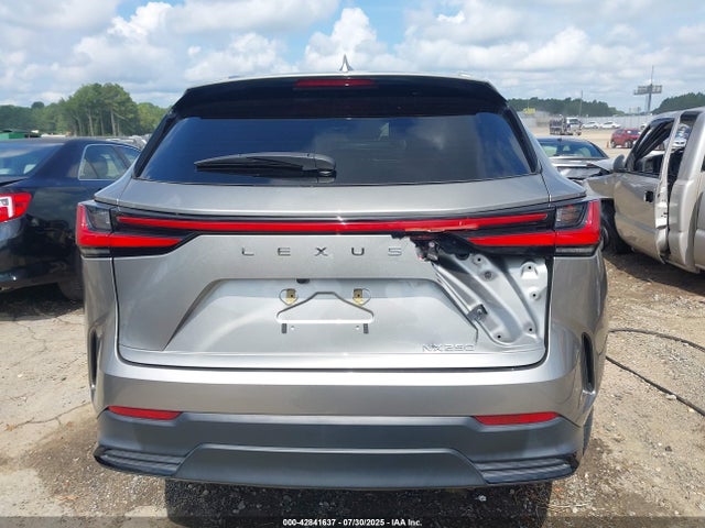 2023 Lexus Nx 250 მანქანა იყიდება აუქციონზე, vin: 2T2ADCAZ0PC005024, აუქციონის ნომერი: 42841637