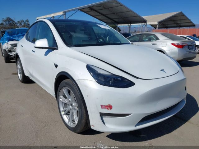 2023 TESLA MODEL Y 7SAYGDEE4PF623534