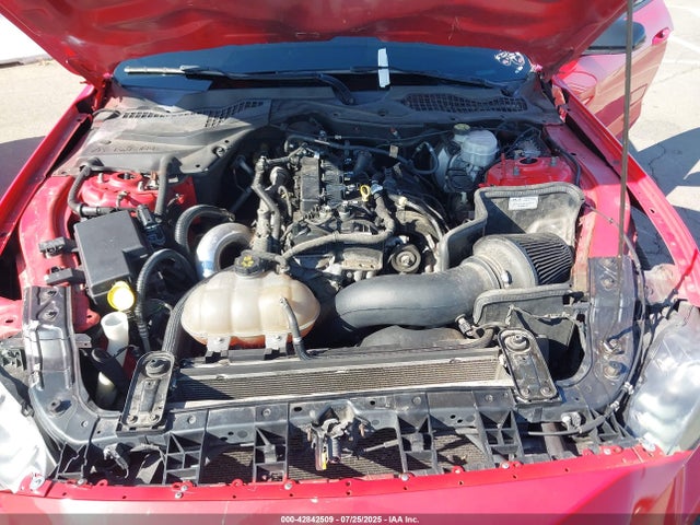 1FA6P8TH7K5135493 Ford 4v