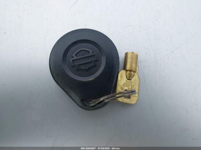 2007 HARLEY-DAVIDSON FLSTF 1HD1BX5127Y038655 Photo 10