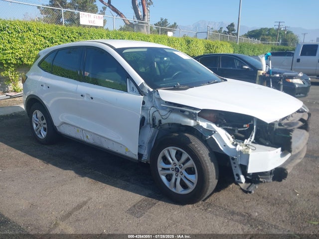 Ford 2020 2020 1FMCU0F69LUA57349 Image 6