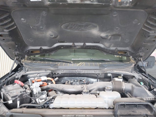 Ford 2024 2024 1FTFW3LD1RFA07123 Image 10