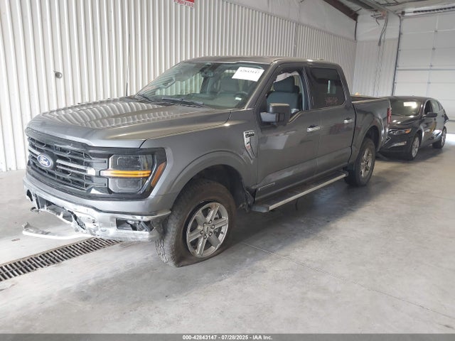 Ford 2024 2024 1FTFW3LD1RFA07123 Image 2