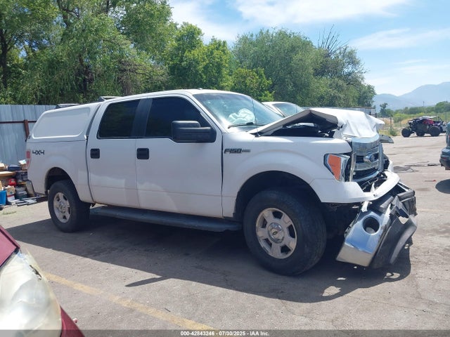Ford 2014 2014 1FTFW1EF9EFC19135 Image 14