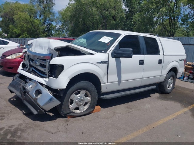 Ford 2014 2014 1FTFW1EF9EFC19135 Image 15
