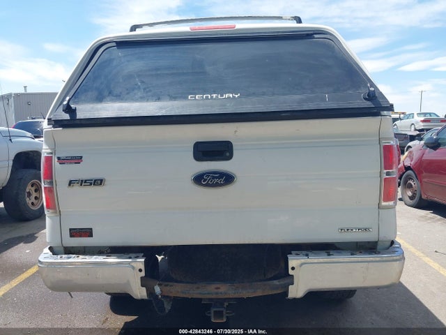 Ford 2014 2014 1FTFW1EF9EFC19135 Image 17