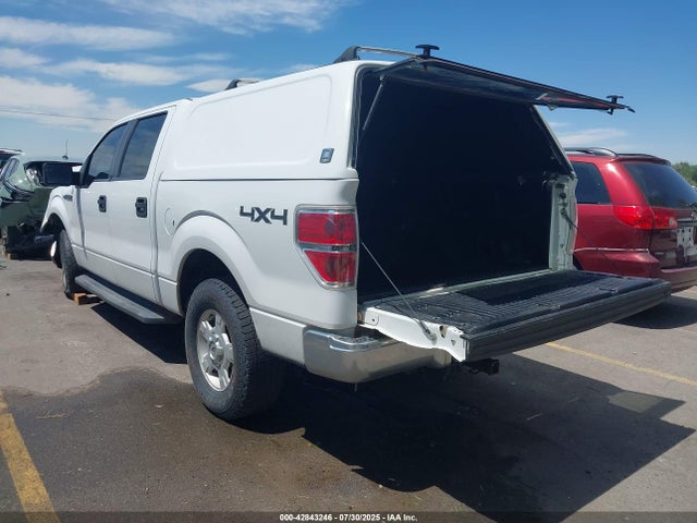 Ford 2014 2014 1FTFW1EF9EFC19135 Image 3