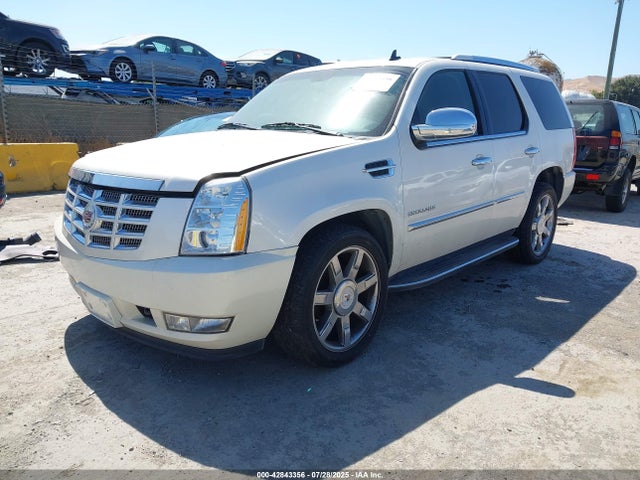 2010 CADILLAC ESCALADE 1GYUKBEF1AR182965 Photo 1
