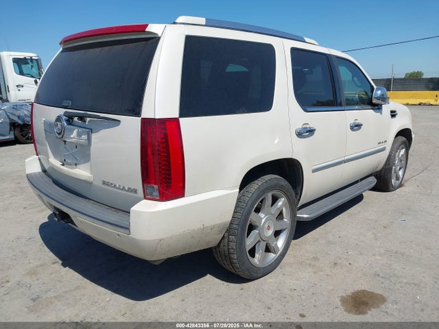 2010 CADILLAC ESCALADE 1GYUKBEF1AR182965 Photo 3
