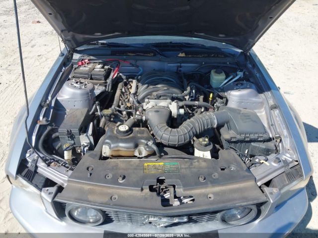 2006 FORD MUSTANG 1ZVFT82H265198298 Photo 9